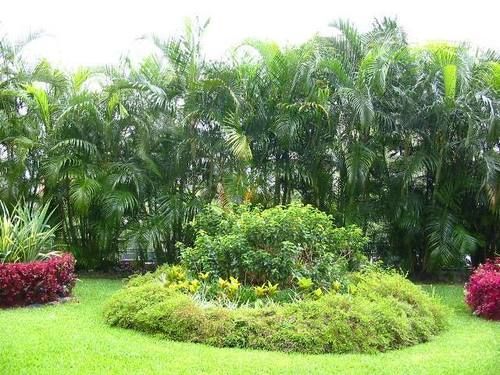 La Alameda Apartment การากัส ภายนอก รูปภาพ
